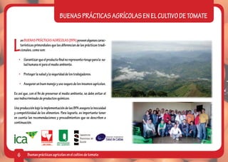 BUENAS PRÁCTICAS AGRÍCOLAS EN EL CULTIVO DE TOMATE



L
    as BUENAS PRÁCTICAS AGRÍCOLAS (BPA) poseen algunas carac-
    terísticas primordiales que las diferencian de las prácticas tradi-
    cionales, como son:

   •	 Garantizar que el producto final no represente riesgo para la sa-
      lud humana ni para el medio ambiente.

   •	 Proteger la salud y la seguridad de los trabajadores.

    •	 Asegurar un buen manejo y uso seguro de los insumos agrícolas.

Es así que, con el fin de preservar el medio ambiente, se debe evitar el
uso indiscriminado de productos químicos.

Una producción bajo la implementación de las BPA asegura la inocuidad
y competitividad de los alimentos. Para lograrlo, es importante tener
en cuenta las recomendaciones y procedimientos que se describen a
continuación.




  6       Buenas prácticas agrícolas en el cultivo de tomate
 