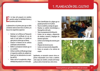 1. PLANEACIÓN DEL CULTIVO


E
      s la base del proyecto de siembra;
      permite evaluar la viabilidad técnica y
      económica del mismo.                          •	 Tener identificadas las plagas que se
                                                       puedan presentar en el cultivo.
La planeación es el primer paso que se debe         •	 Hacer un análisis y manejo de aguas.
considerar antes de dar inicio al cultivo y se      •	 Realizar un análisis microbiológico y
basa en los siguientes aspectos:                       fisicoquímico del suelo.
                                                    •	 Tener un programa de fertilización.
   •	 Solicitar en la Oficina de Planeación         •	 Contar con un manejo y disposición
      Municipal el certificado de uso de               de residuos, envases y empaques de
      suelo, el cual indica si el predio es            insumos agrícolas.
      apto para el cultivo que se desea.            •	 Contar con un manejo de cosecha y pos
   •	 Conocer la historia de los cultivos              cosecha.
      sembrados anteriormente.                      •	 Disponer de vías de acceso.
   •	 Definir la variedad de tomate que se          •	 Contar con mano de obra disponible.
      va a sembrar.                                 •	 Estar en cercanía a los centros de
   •	 Utilizar semilla certificada que tenga           acopio.
      el respectivo análisis de calidad rea-
      lizado por los laboratorios de semi-       Igualmente, es necesario conocer otros as-
      llas del ICA.                              pectos relacionados con el área a sembrar,
   •	 Saber cuál es la aceptación y dispo-       como: época de siembra, estados del tiempo
      nibilidad del producto en el mercado.      y altura sobre el nivel del mar, entre otros.


                                                                                        Buenas prácticas agrícolas en el cultivo de tomate   7
 