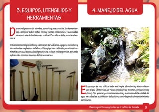 3. EQUIPOS, UTENSILIOS Y                                                              4. MANEJO DEL AGUA
                HERRAMIENTAS

D
          urante el proceso de siembra, cosecha y pos cosecha, las herramien-
          tas a emplear deben estar en muy buenas condiciones, y adecuadas
          para cada una de las labores a realizar. Para ello se debe prestar aten-
ción a:

El mantenimiento preventivo y calibración de todos los equipos, utensilios y
herramientas empleadas en la finca. Un equipo bien calibrado permite deter-
minar la cantidad adecuada del producto a utilizar en la aspersión, evitando
aplicar más o menos insumos de los necesarios.




                                                                                     E
                                                                                           l agua que se va a utilizar debe ser limpia, abundante y adecuada se-
                                                                                           gún el uso (doméstico, de riego, aplicación de insumos, pos cosecha y
                                                                                           otros). Sin generar gastos innecesarios y manteniendo la calidad del
                                                                                     agua en todas las actividades del cultivo, contribuyendo al mantenimiento
                                                                                     del recurso.

                                                                                              Buenas prácticas agrícolas en el cultivo de tomate           9
 