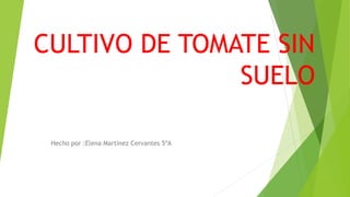 CULTIVO DE TOMATE SIN
SUELO
Hecho por :Elena Martínez Cervantes 5ºA
 
