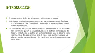 INTRODUCCIÓN:INTRODUCCIÓN:
 El tomate es una de las hortalizas más cultivadas en el mundo.
 En la Región de Murcia y con...