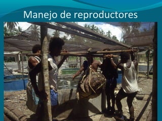 Manejo de reproductores

 