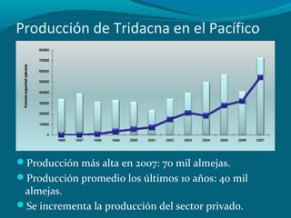 Producción de Tridacna en el Pacífico

Producción más alta en 2007: 70 mil almejas.
Producción promedio los últimos 10 años: 40 mil

almejas.
Se incrementa la producción del sector privado.

 
