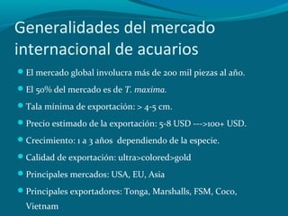 Generalidades del mercado
internacional de acuarios
El mercado global involucra más de 200 mil piezas al año.
El 50% del mercado es de T. maxima.
Tala mínima de exportación: > 4-5 cm.
Precio estimado de la exportación: 5-8 USD --->100+ USD.
Crecimiento: 1 a 3 años dependiendo de la especie.
Calidad de exportación: ultra>colored>gold
Principales mercados: USA, EU, Asia
Principales exportadores: Tonga, Marshalls, FSM, Coco,

Vietnam

 
