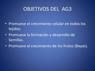OBJETIVOS DEL AG3 
• Promueve el crecimiento celular en todos los 
tejidos. 
• Promueve la formación y desarrollo de 
Semillas. 
• Promueve el crecimiento de los frutos (Bayas). 
 