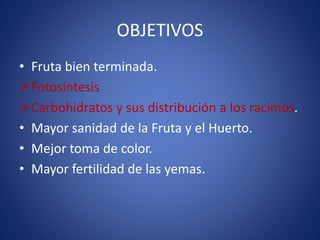OBJETIVOS 
• Fruta bien terminada. 
Fotosíntesis 
Carbohidratos y sus distribución a los racimos. 
• Mayor sanidad de la Fruta y el Huerto. 
• Mejor toma de color. 
• Mayor fertilidad de las yemas. 
 