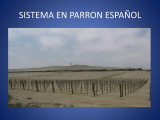 SISTEMA EN PARRON ESPAÑOL
 