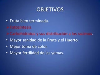 OBJETIVOS
• Fruta bien terminada.
Fotosíntesis
Carbohidratos y sus distribución a los racimos.
• Mayor sanidad de la Fruta y el Huerto.
• Mejor toma de color.
• Mayor fertilidad de las yemas.
 