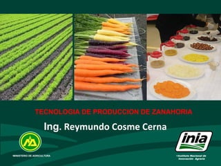 •
TECNOLOGIA DE PRODUCCION DE ZANAHORIA
•Instituto Nacional de
Innovación Agraria
•MINISTERIO DE AGRICULTURA
Ing. Reymundo Cosme Cerna
 