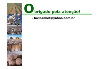 Obrigado pela atenção!
- luciozabot@yahoo.com.br
 