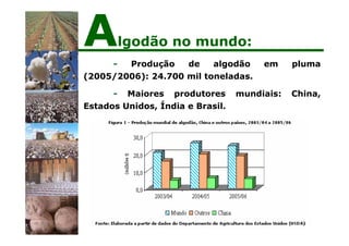- Produção de algodão em pluma
(2005/2006): 24.700 mil toneladas.
- Maiores produtores mundiais: China,
Estados Unidos, Índia e Brasil.
Algodão no mundo:
 
