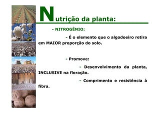 - NITROGÊNIO:
- É o elemento que o algodoeiro retira
em MAIOR proporção do solo.
- Promove:
- Desenvolvimento da planta,
INCLUSIVE na floração.
- Comprimento e resistência à
fibra.
Nutrição da planta:
 