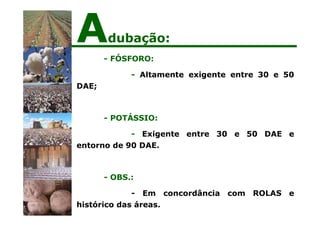 - FÓSFORO:
- Altamente exigente entre 30 e 50
DAE;
- POTÁSSIO:
- Exigente entre 30 e 50 DAE e
entorno de 90 DAE.
- OBS.:
- Em concordância com ROLAS e
histórico das áreas.
Adubação:
 
