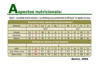 Aspectos nutricionais:
Bonini, 2006
 