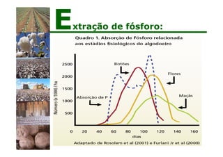Extração de fósforo:
 