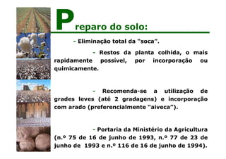 - Eliminação total da “soca”.
- Restos da planta colhida, o mais
rapidamente possível, por incorporação ou
quimicamente.
- Recomenda-se a utilização de
grades leves (até 2 gradagens) e incorporação
com arado (preferencialmente “aiveca”).
- Portaria da Ministério da Agricultura
(n.º 75 de 16 de junho de 1993, n.º 77 de 23 de
junho de 1993 e n.º 116 de 16 de junho de 1994).
Preparo do solo:
 