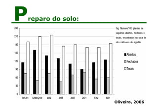 Preparo do solo:
Oliveira, 2006
 