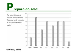 Preparo do solo:
Oliveira, 2006
 