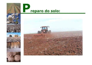 Preparo do solo:
 