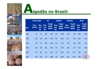 Algodão no Brasil:
 
