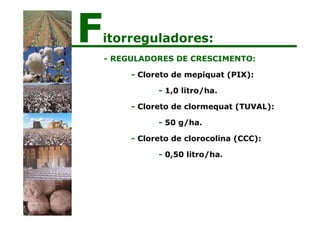 - REGULADORES DE CRESCIMENTO:
- Cloreto de mepiquat (PIX):
- 1,0 litro/ha.
- Cloreto de clormequat (TUVAL):
- 50 g/ha.
- Cloreto de clorocolina (CCC):
- 0,50 litro/ha.
Fitorreguladores:
 
