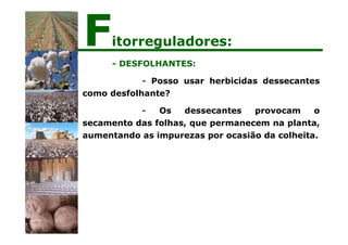- DESFOLHANTES:
- Posso usar herbicidas dessecantes
como desfolhante?
- Os dessecantes provocam o
secamento das folhas, que permanecem na planta,
aumentando as impurezas por ocasião da colheita.
Fitorreguladores:
 