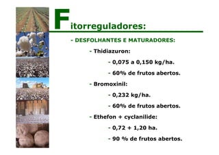 - DESFOLHANTES E MATURADORES:
- Thidiazuron:
- 0,075 a 0,150 kg/ha.
- 60% de frutos abertos.
- Bromoxinil:
- 0,232 kg/ha.
- 60% de frutos abertos.
- Ethefon + cyclanilide:
- 0,72 + 1,20 ha.
- 90 % de frutos abertos.
Fitorreguladores:
 
