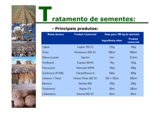 - Principais produtos:
Tratamento de sementes:
 
