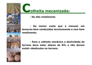 - De alto rendimento
- De menor custo que a manual, em
lavouras bem conduzidas tecnicamente e com bom
rendimento.
- Para a colheita mecânica a declividade do
terreno deve estar abaixo de 8% e não devem
existir obstáculos no terreno.
Colheita mecanizada:
 