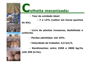 - Teor de umidade ideal:
- 7 a 12% (colher em horas quentes
do dia).
- Livre de plantas invasoras, desfolhada e
uniforme.
- Perdas admitidas: até 10%.
- Velocidade de trabalho: 3,5 km/h.
- Rendimentos: entre 2500 e 3800 kg/ha
(até 250 @/ha).
Colheita mecanizada:
 
