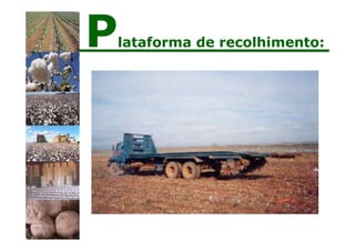Plataforma de recolhimento:
 