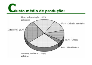 Custo médio de produção:
 