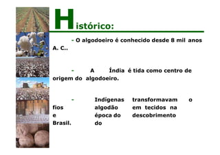 - O algodoeiro é conhecido desde 8 mil anos
A. C..
- A Índia é tida como centro de
origem do algodoeiro.
- Indígenas transformavam o
algodão em tecidos na
época do descobrimento
do
fios
e
Brasil.
Histórico:
 