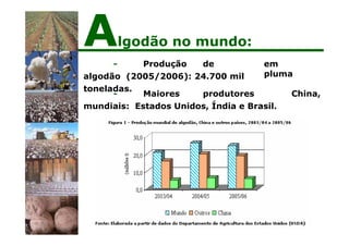 em
pluma
- Produção de
algodão (2005/2006): 24.700 mil
toneladas.
China,
- Maiores produtores
mundiais: Estados Unidos, Índia e Brasil.
Algodão no mundo:
 