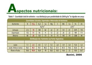 Aspectos nutricionais:
Bonini, 2006
 