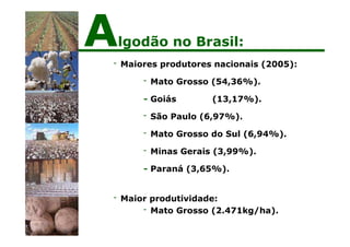- Maiores produtores nacionais (2005):
- Mato Grosso (54,36%).
- Goiás (13,17%).
- São Paulo (6,97%).
- Mato Grosso do Sul (6,94%).
- Minas Gerais (3,99%).
- Paraná (3,65%).
- Maior produtividade:
- Mato Grosso (2.471kg/ha).
Algodão no Brasil:
 