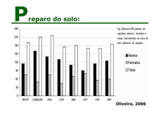 Preparo do solo:
Oliveira, 2006
 