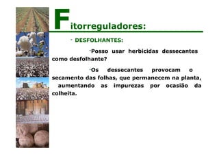 - DESFOLHANTES:
-Posso usar herbicidas dessecantes
como desfolhante?
-Os dessecantes provocam o
secamento das folhas, que permanecem na planta,
aumentando as impurezas por ocasião da
colheita.
Fitorreguladores:
 