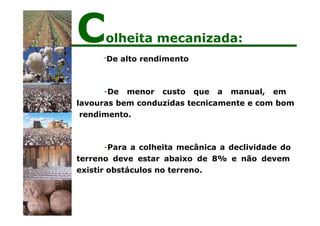 -De alto rendimento
-De menor custo que a manual, em
lavouras bem conduzidas tecnicamente e com bom
rendimento.
-Para a colheita mecânica a declividade do
terreno deve estar abaixo de 8% e não devem
existir obstáculos no terreno.
Colheita mecanizada:
 