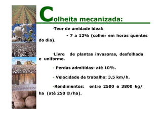 -Teor de umidade ideal:
- 7 a 12% (colher em horas quentes
do dia).
-Livre de plantas invasoras, desfolhada
e uniforme.
- Perdas admitidas: até 10%.
- Velocidade de trabalho: 3,5 km/h.
-Rendimentos: entre 2500 e 3800 kg/
ha (até 250 @/ha).
Colheita mecanizada:
 
