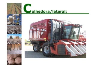 Colhedora/lateral:
 