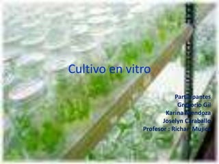 Cultivo en vitro
                          Participantes
                           Gregorio Gil
                      Karina Mendoza
                     Joselyn Caraballo
              Profesor : Richar Mujica
 