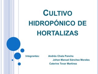 CULTIVO 
HIDROPÓNICO DE 
HORTALIZAS 
Integrantes: Andrés Chala Pancha 
Johan Manuel Sánchez Morales 
Caterine Tovar Martínez 
 