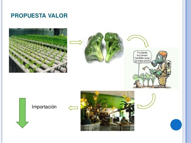 Cultivo Hidroponico De Hortalizas Cultivo Hidroponico De Hortalizas