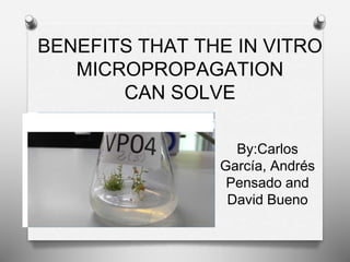 BENEFITS THAT THE IN VITRO
MICROPROPAGATION
CAN SOLVE
By:Carlos
García, Andrés
Pensado and
David Bueno
 