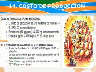 14. COSTO DE PRODUCCION
 