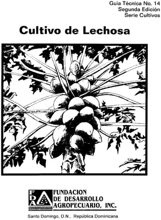 cultivo papaya-lechoza.pdf