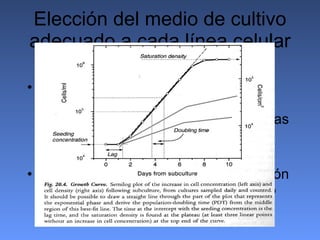 Elección del medio de cultivo adecuado a cada línea celular Se deben realizar diferentes pruebas con varios medios de cultivo en la elección del medio más adecuado a las características de nuestra línea.  Las pruebas consisten en la realización de diferentes  curvas de crecimiento 