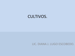 CULTIVOS.

LIC. DIANA J. LUGO ESCOBEDO.

 