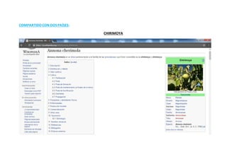 COMPARTIDO CON DOS PAÍSES:
CHIRIMOYA
 